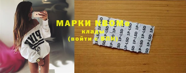 стаф Волосово