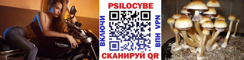 Псилоцибиновые грибы прущие грибы  Гаврилов Посад 